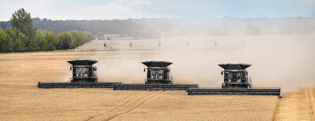 Invest now for a weed-free future: Best practices for cleaning