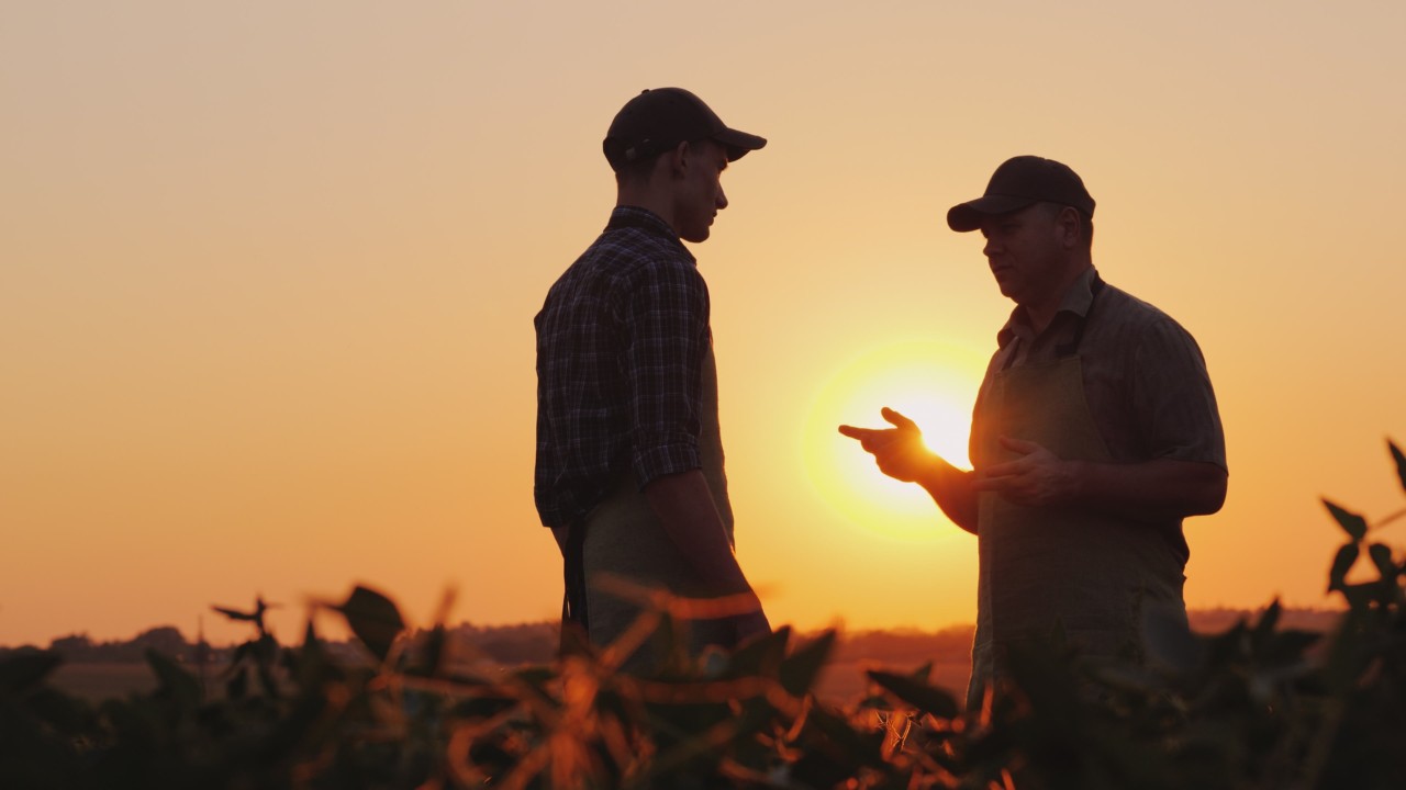 A young and elderly farmer chatting on the field at sunset