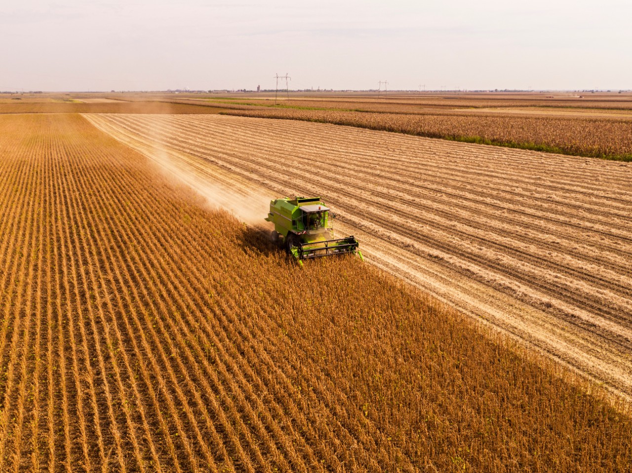 Serbia, Vojvodina. Farmer in combine harvester on a field of soybean, aerial view.
