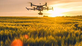 Drone Flying Over a Field